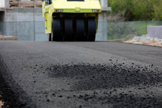 Best Driveway Pavers Contractor  in Victoria, VA